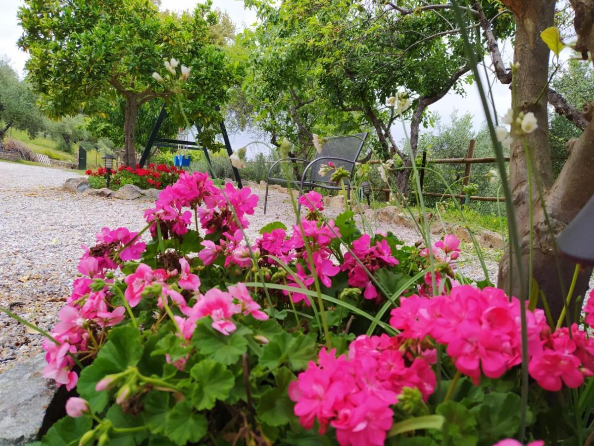 Casa Rural El Bonito Guest House กาซาญา เดลา เซียร์รา ภายนอก รูปภาพ